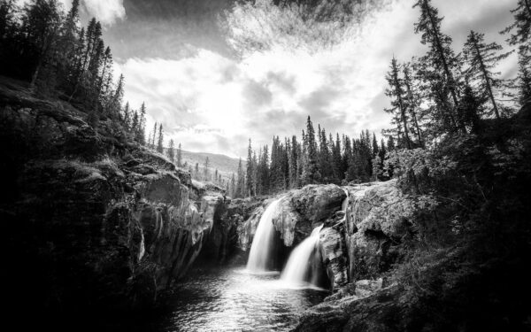 Forest Waterfall, Rondane National Park, Norway, Black & White Phohography