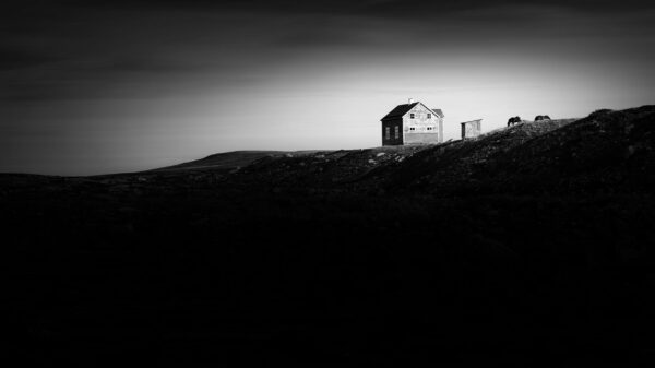 House with Horses, Hardangervidda National Park, Norway, Black & White Phohography