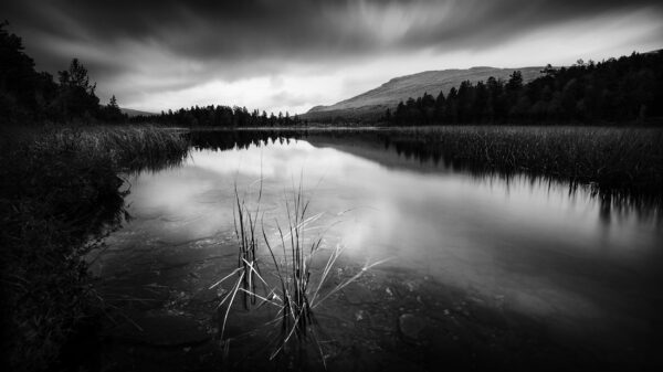 Rainy Lake, Dovrefjell Sunndalsfjella National Park, Norway, Black & White Phohography