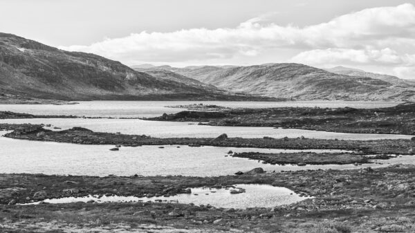 Lake View, Hardangervidda National Park, Norway, Black & White Phohography